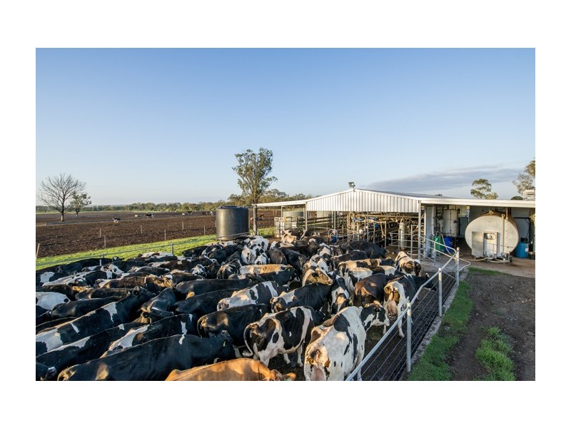 140 Kirstenfeldts Road, Rosalie Plains QLD 4401