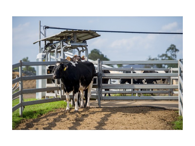 140 Kirstenfeldts Road, Rosalie Plains QLD 4401