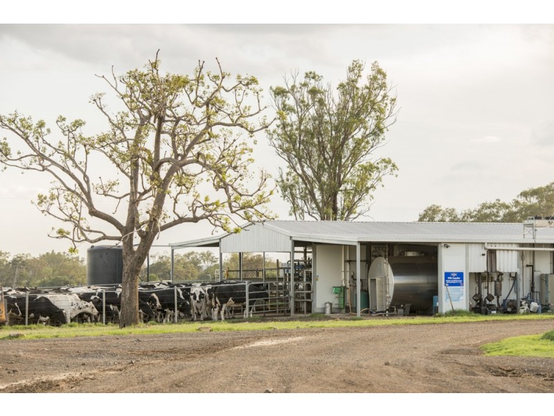 140 Kirstenfeldts Road, Rosalie Plains QLD 4401
