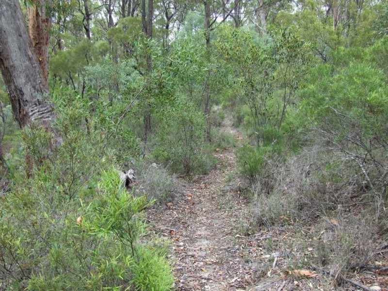 6065 New England Highway, Crows Nest QLD 4355