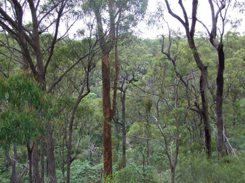 6065 New England Highway, Crows Nest QLD 4355