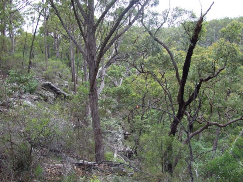 6065 New England Highway, Crows Nest QLD 4355