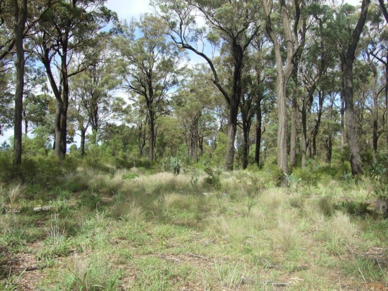 Lot 1 and 2 Weelu Road, Bergen QLD 4353