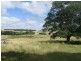 Lot 1 and 2 Weelu Road, Bergen QLD 4353