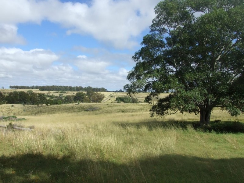 Lot 1 and 2 Weelu Road, Bergen QLD 4353
