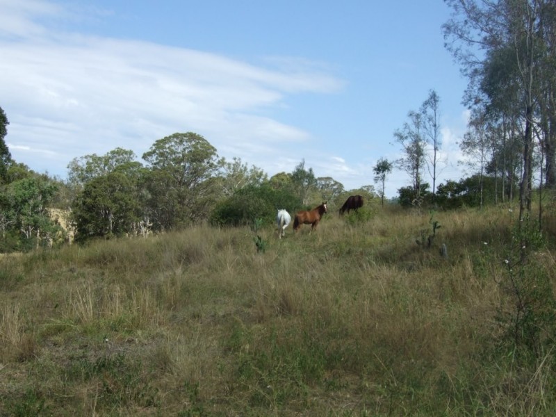 1211 Pierce Creek Road, Crows Nest QLD 4355