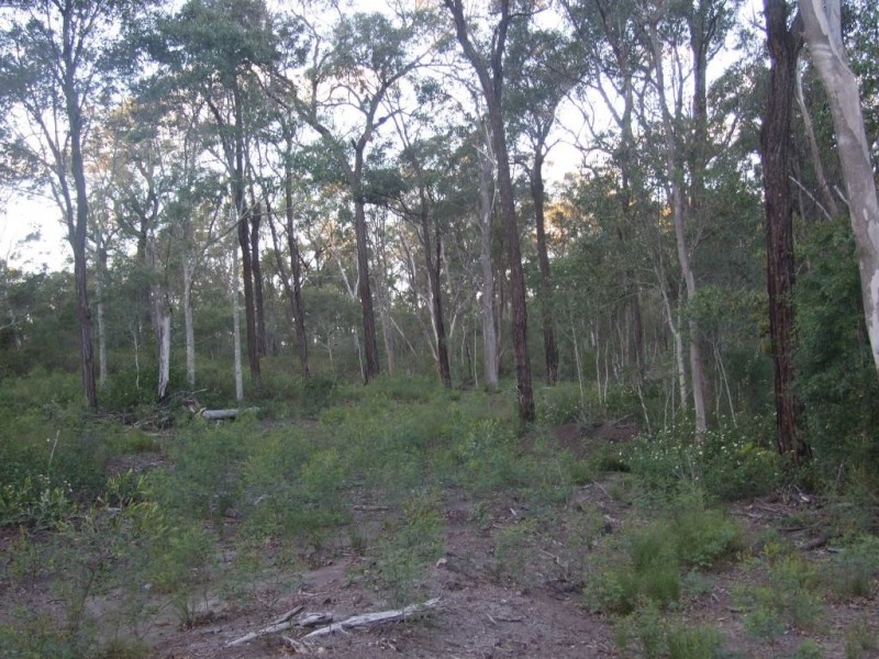 90 Old Emu Creek Road, Crows Nest QLD 4355