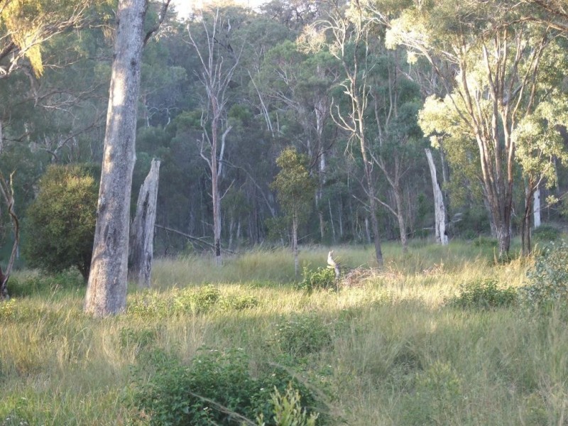 90 Old Emu Creek Road, Crows Nest QLD 4355