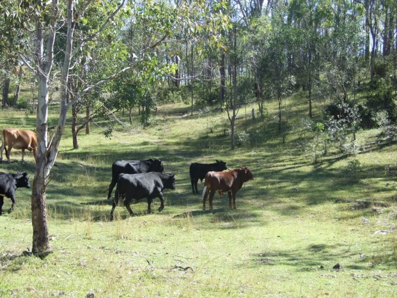L100 Fitch Road, Crows Nest QLD 4355