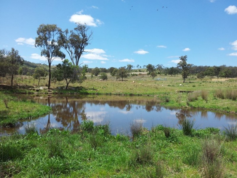 Lot 1 Pechey Maclagan Road, Groomsville QLD 4352