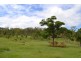 Lot 1 Pechey Maclagan Road, Groomsville QLD 4352