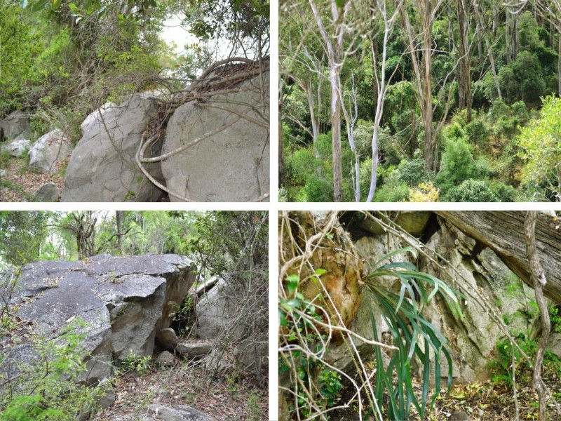 Lot 1 Pechey Maclagan Road, Groomsville QLD 4352