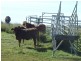 1191 Djuan Road, Haden QLD 4353