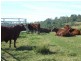 1191 Djuan Road, Haden QLD 4353