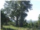 1191 Djuan Road, Haden QLD 4353