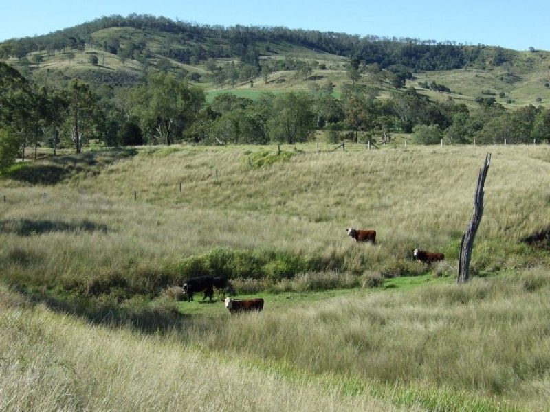 L260 Schultz Road, Coalbank QLD 4352