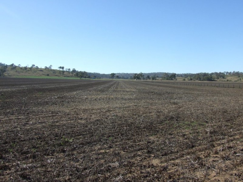 552 Goombungee-Meringandan, Meringandan QLD 4352