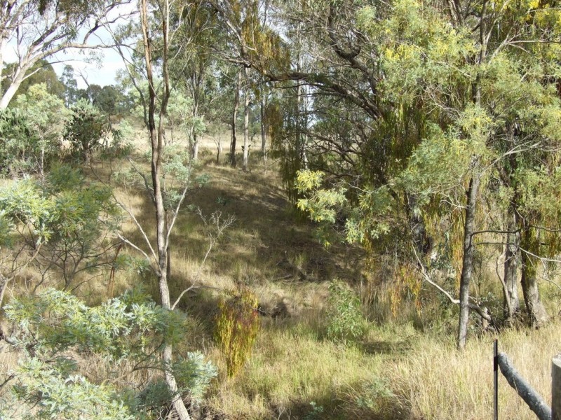 1205 Pechey maclagan Road, Groomsville QLD 4352