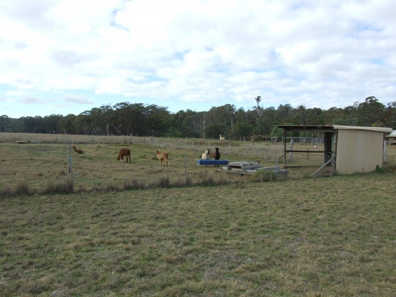 1205 Pechey maclagan Road, Groomsville QLD 4352