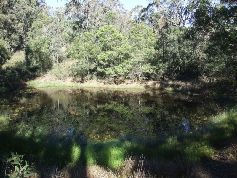L3 Vonhoff Road, Crows Nest QLD 4355