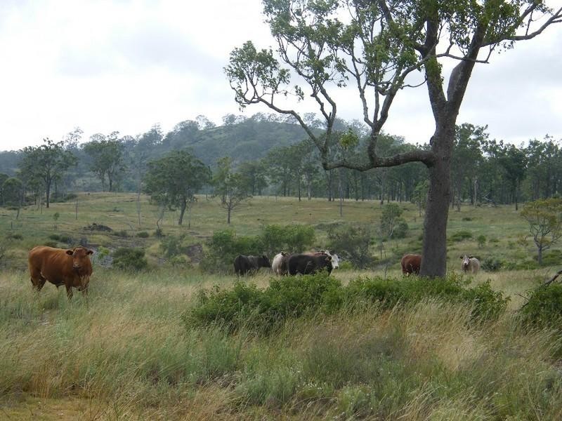 000 Scherger Road, Thornville QLD 4352