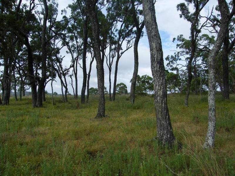 000 Scherger Road, Thornville QLD 4352