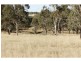 329 Valewood Road, Geham QLD 4352