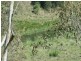 000 Cooyar Rangemore Road, Cooyar QLD 4402