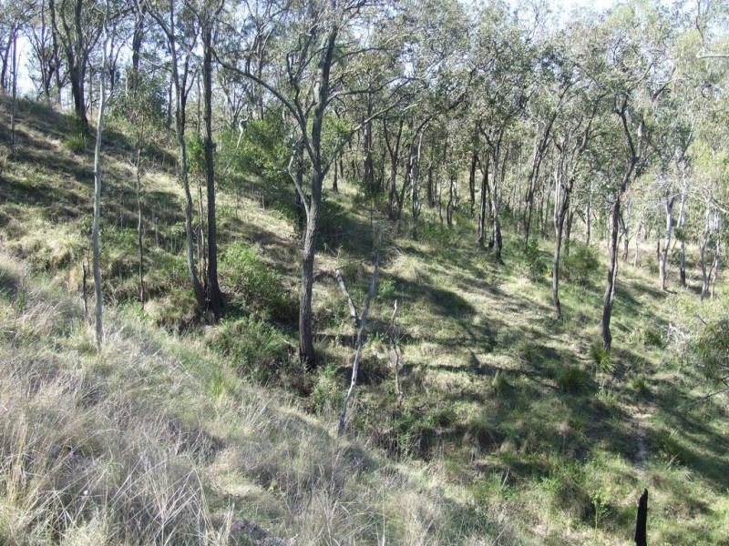 000 Cooyar Rangemore Road, Cooyar QLD 4402