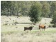 L191 Schmaling Road, Groomsville QLD 4352