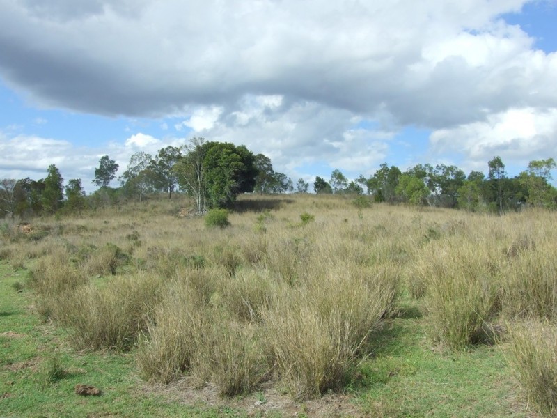 L191 Schmaling Road, Groomsville QLD 4352
