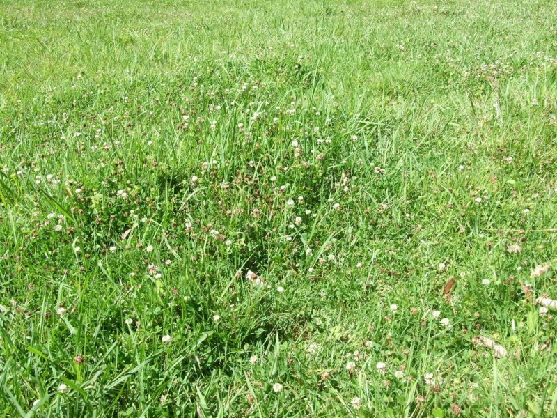 447 National Park Road, Ravensbourne QLD 4352