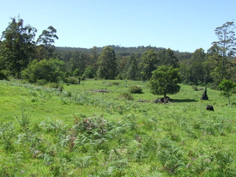 447 National Park Road, Ravensbourne QLD 4352