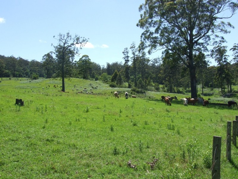 447 National Park Road, Ravensbourne QLD 4352