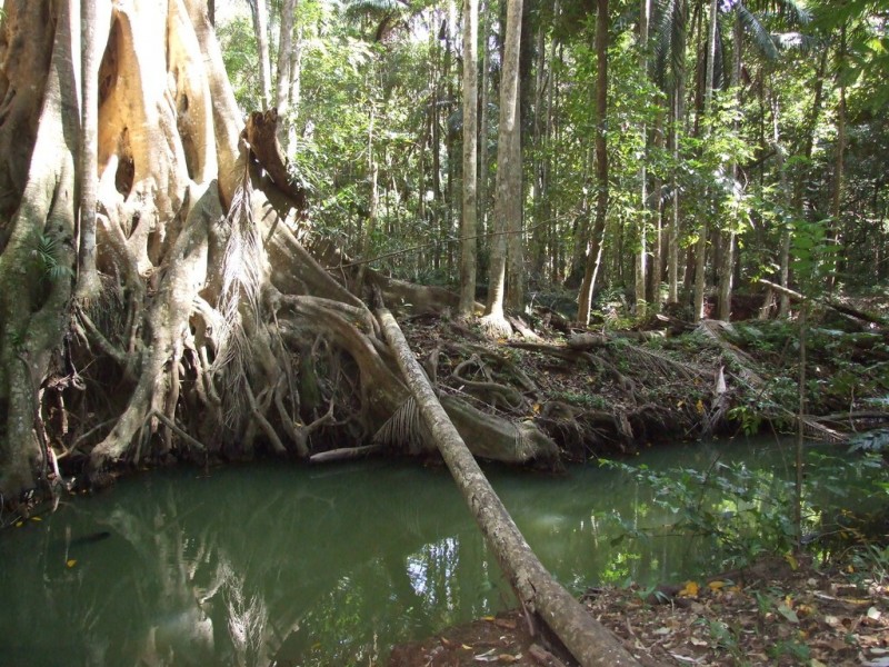 447 National Park Road, Ravensbourne QLD 4352