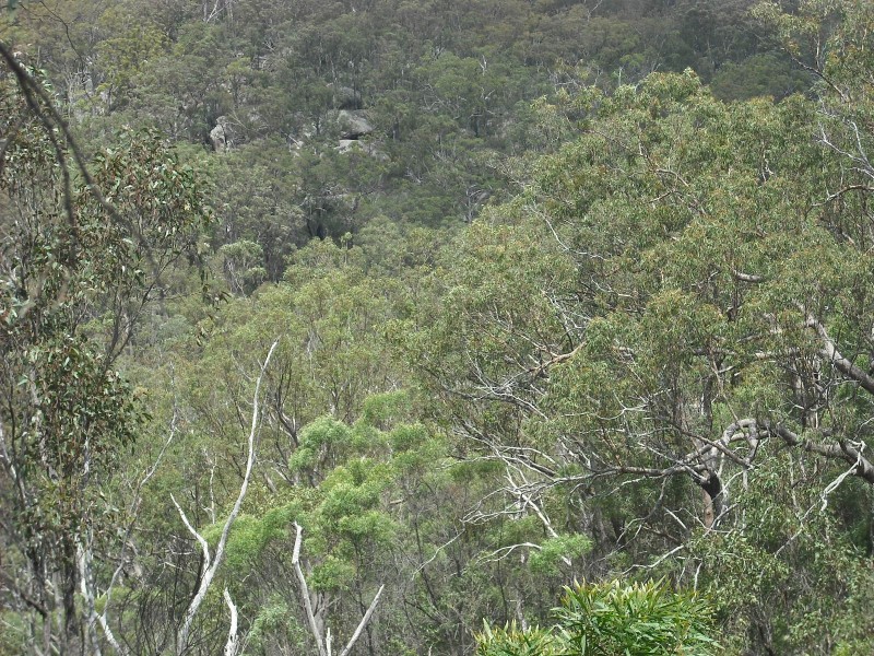 Lot 54 Dahl Road, Crows Nest QLD 4355
