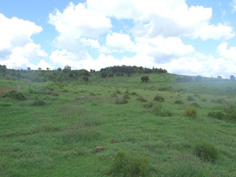 L240 and L190 Reeds Road, Peranga QLD 4352