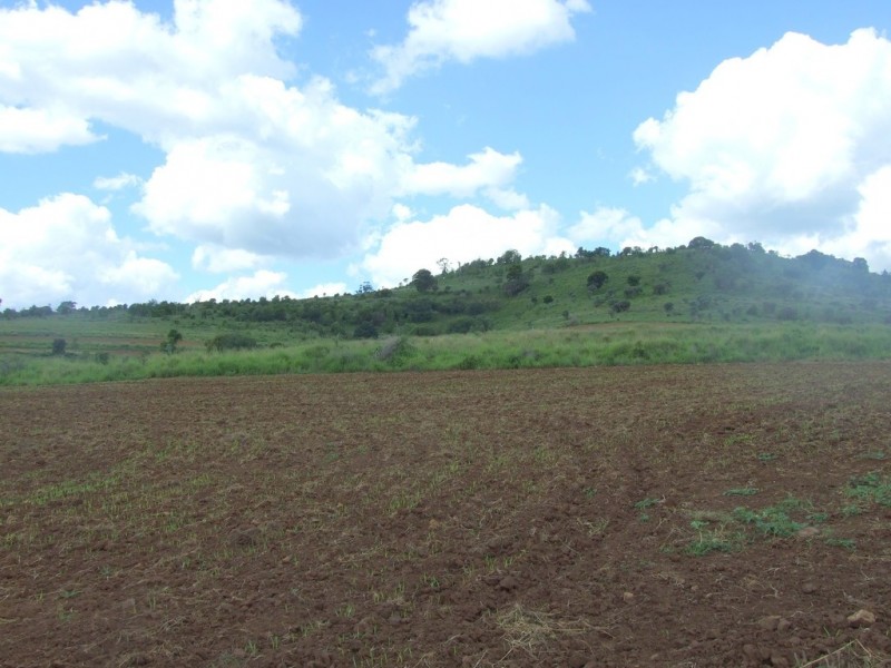 L240 and L190 Reeds Road, Peranga QLD 4352