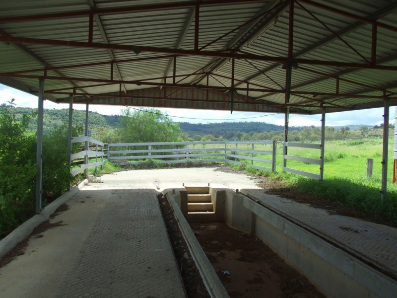 L240 and L190 Reeds Road, Peranga QLD 4352