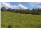 Lot 1 Pechey Maclagen Road, Groomsville QLD 4352