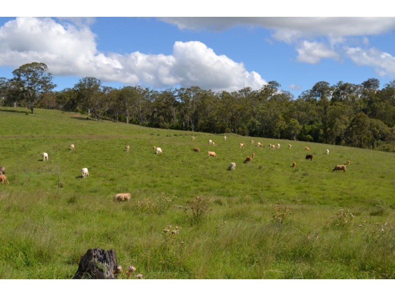 Lot 1 Pechey Maclagen Road, Groomsville QLD 4352