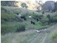90 Old Emu Creek Road, Emu Creek QLD 4355