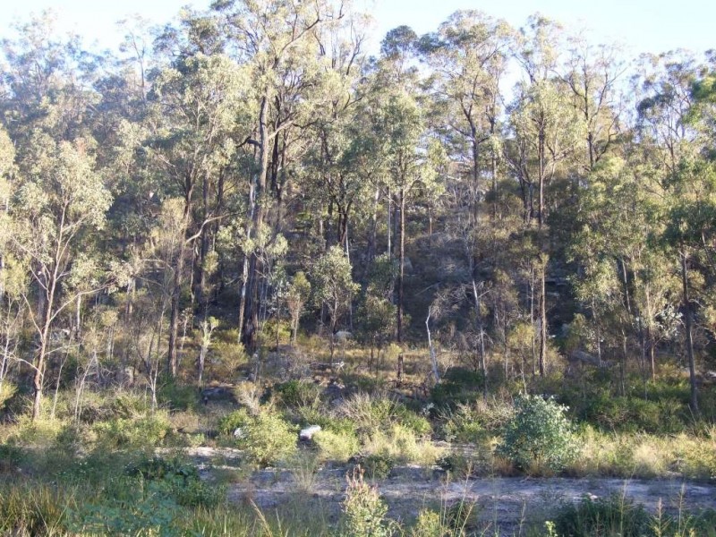 90 Old Emu Creek Road, Emu Creek QLD 4355
