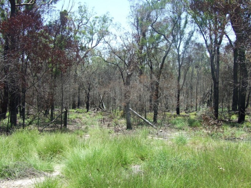 90 Old Emu Creek Road, Emu Creek QLD 4355