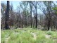 90 Old Emu Creek Road, Emu Creek QLD 4355