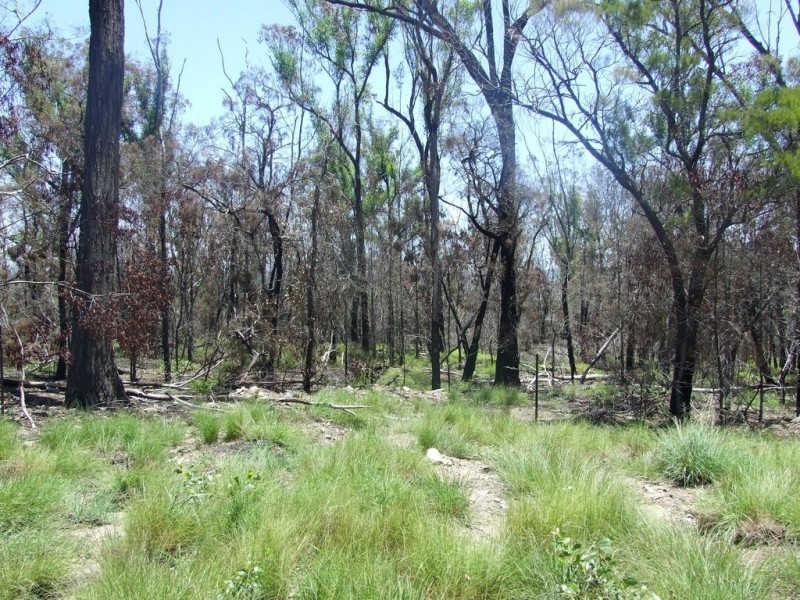 90 Old Emu Creek Road, Emu Creek QLD 4355