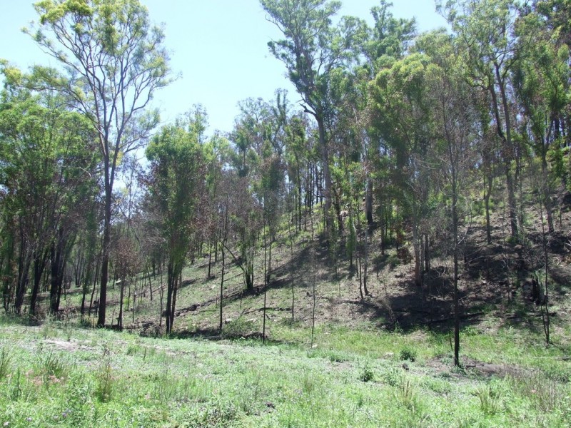 90 Old Emu Creek Road, Emu Creek QLD 4355