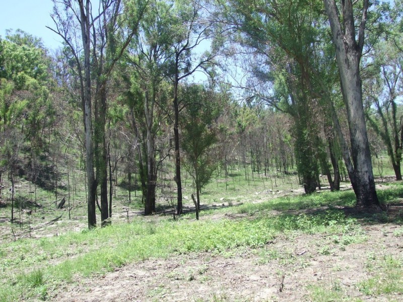 90 Old Emu Creek Road, Emu Creek QLD 4355