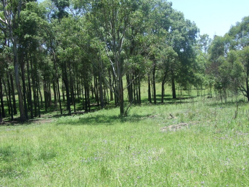 90 Old Emu Creek Road, Emu Creek QLD 4355