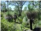 L1 Emu Creek Road, Emu Creek QLD 4355